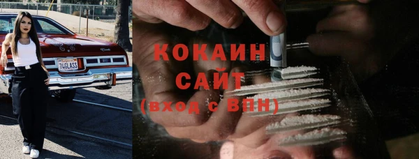 ешки Алексин