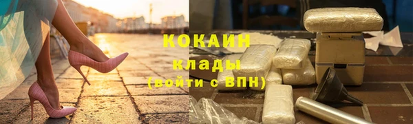 ешки Алексин