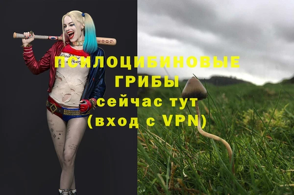 MESCALINE Алексеевка